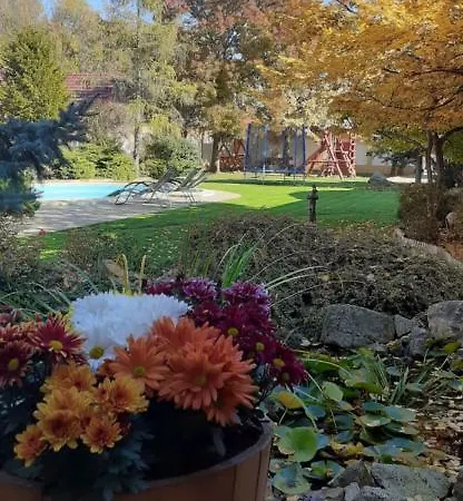 Kenguru Panzio Hotel Hodmezovasarhely