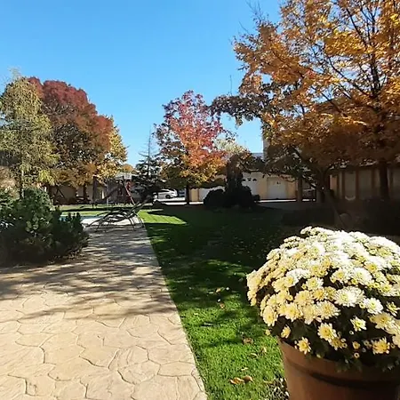 Hotel Kenguru Panzió és Csárda 3*